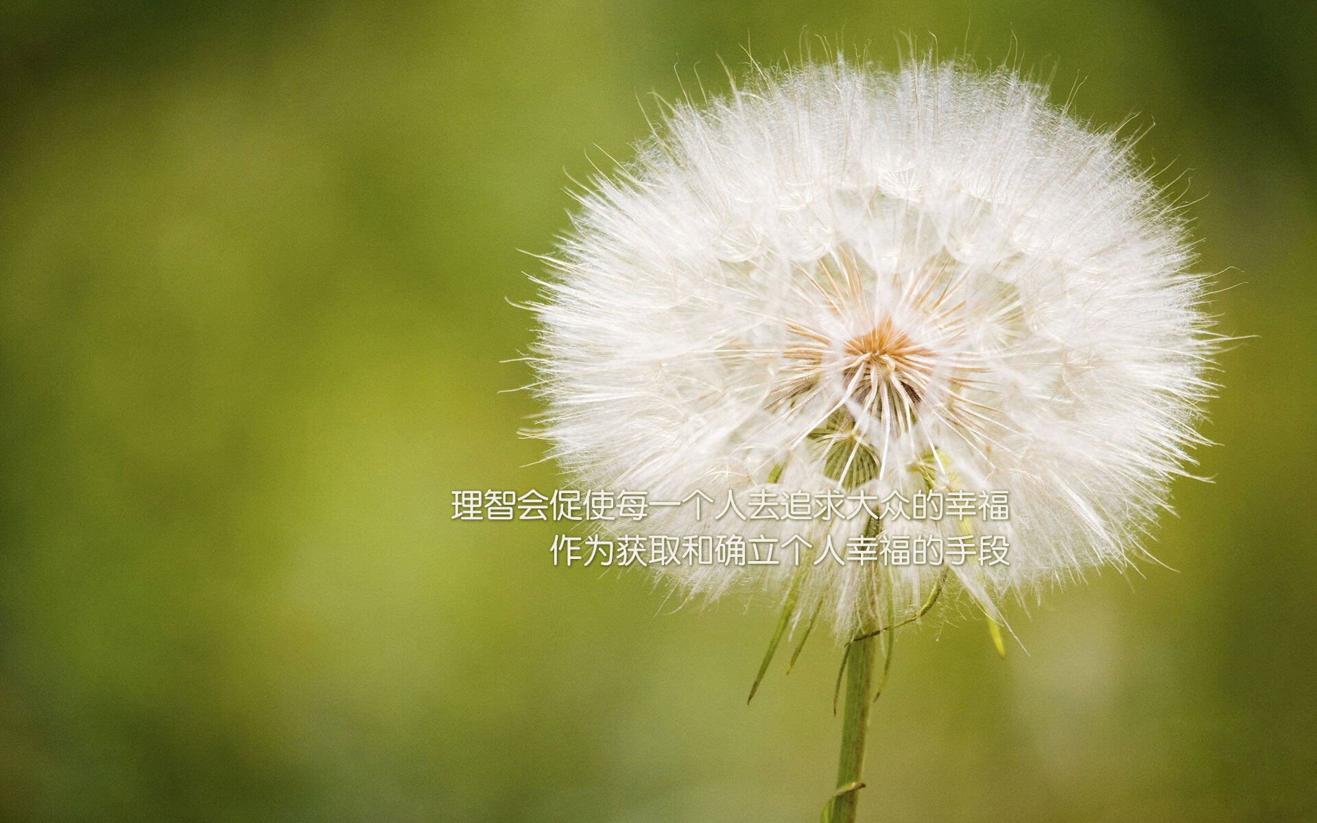 开云体育app安全下载-“法甲激战正酣，争冠形势进入白热化阶段”，法甲 经典比赛