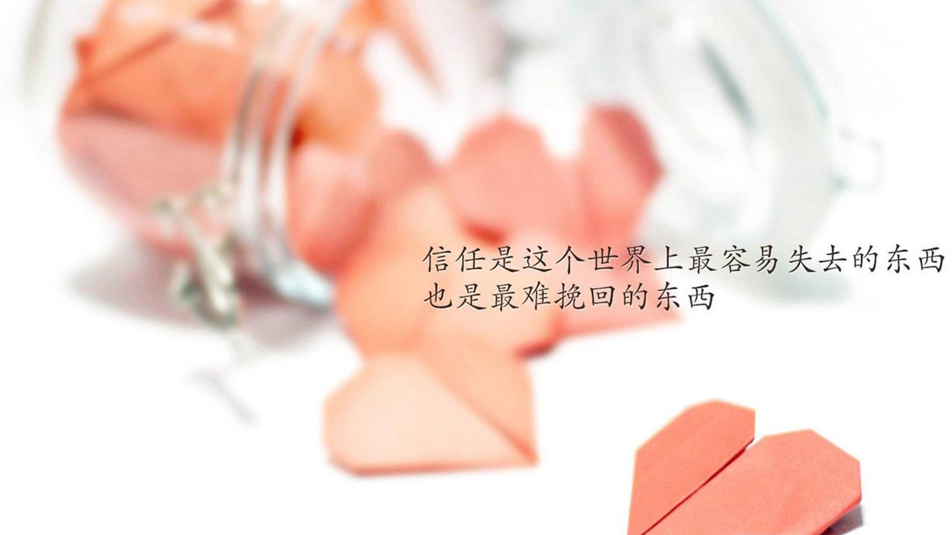 《青年电竞明星：未来之星大放异彩》，电竞年轻人