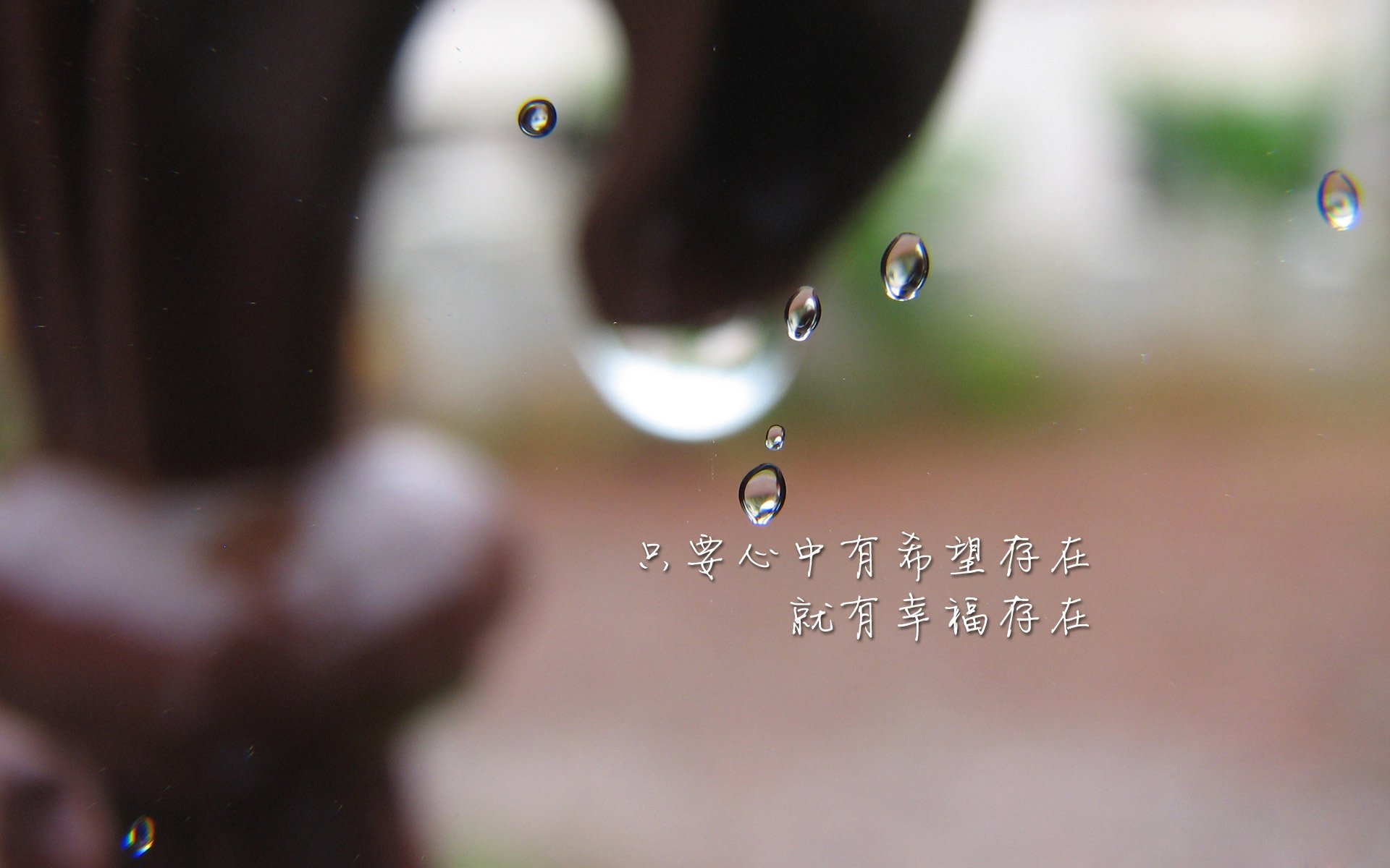 开云体育官方网站-广州龙狮球队氛围持续优化，广州龙狮队老板是哪里人