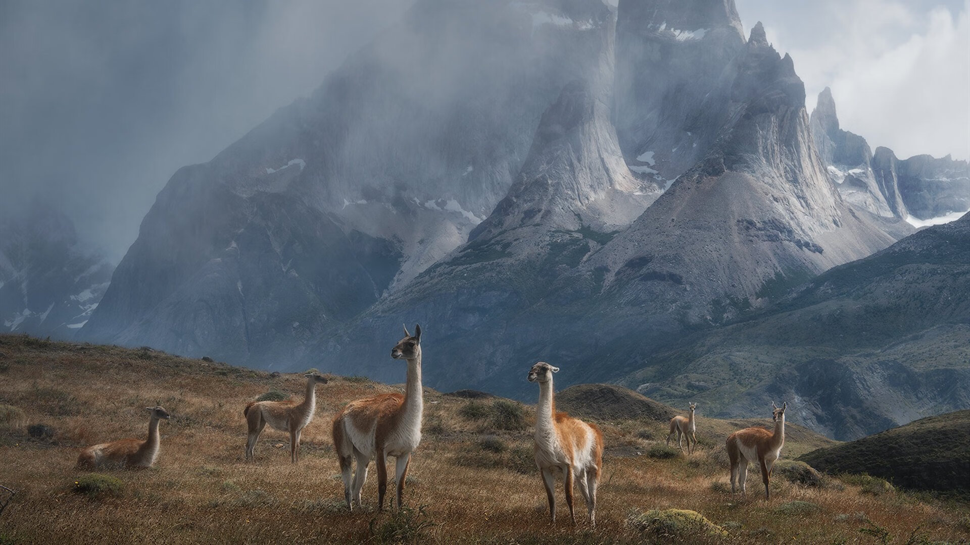西甲俱乐部采用国内非传统渠道提升潮流形象,西甲所有俱乐部