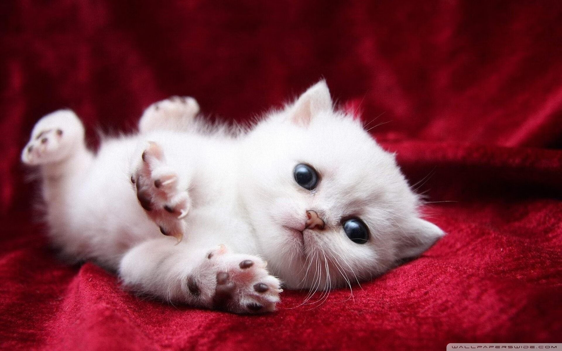 青少年体育社会环境影响因素分析,社会环境对体育的影响