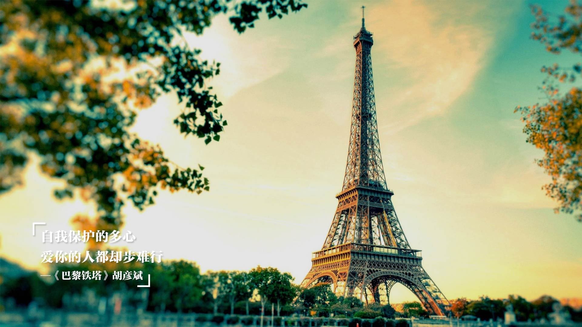 高校体育教师数字教学能力培养,体育数字教育资源获取与评价