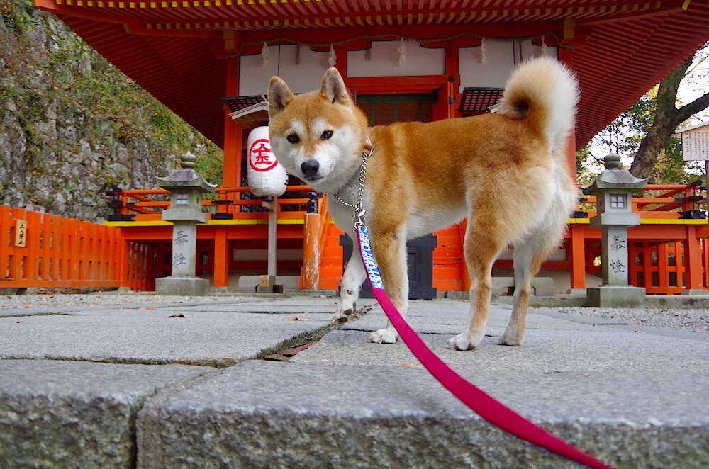 中超球队后备人才储备体系加强,中超预备队名单