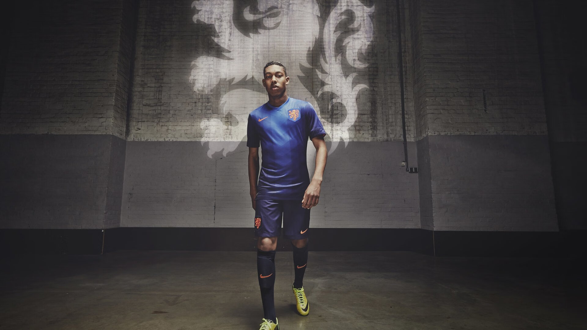 _蓝色海域滑翔：在海浪中自由飞翔_，蓝色的海域